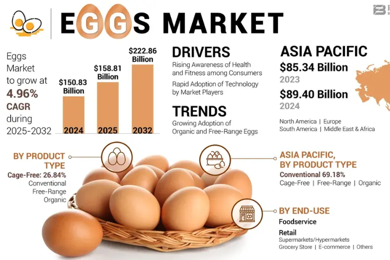 current share price snapshot travel food services ltd