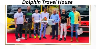 dolphin travel house