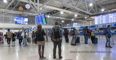 american airlines boarding gate lice