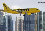 spirit airlines stock